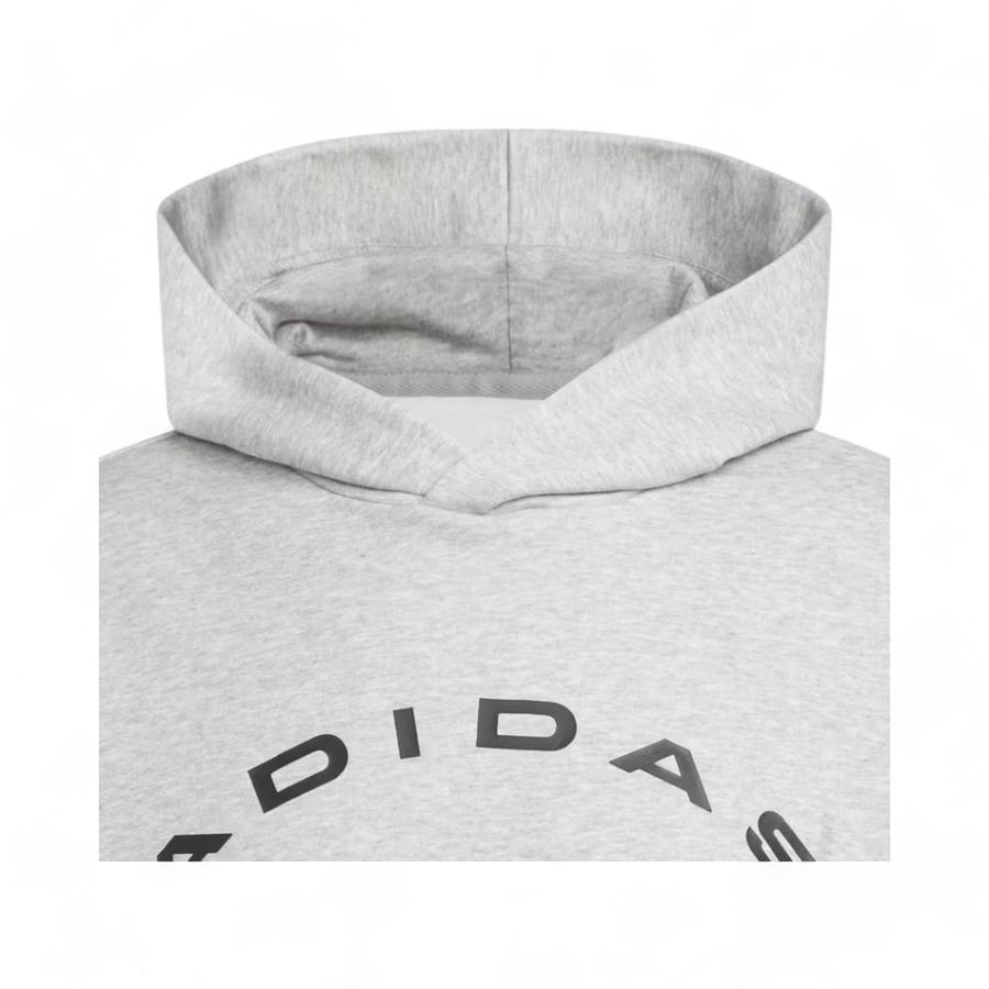 Polerón Hombre Adidas Sekect Foundation Hoodie Gris