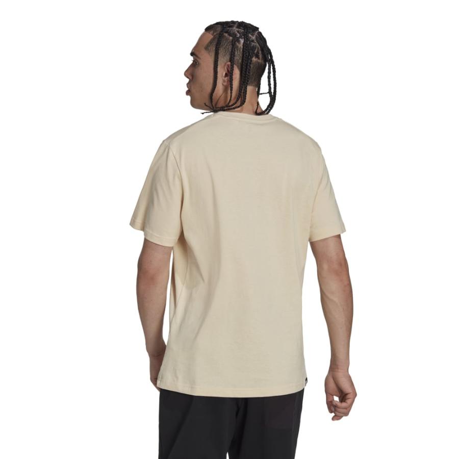 Polera Deportiva Hombre Adidas Terrex Mountain Beige