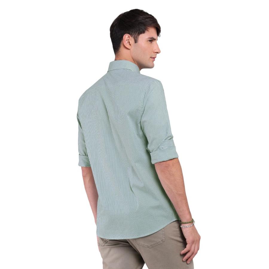 Camisa Rayas Hombre Arrow Verde