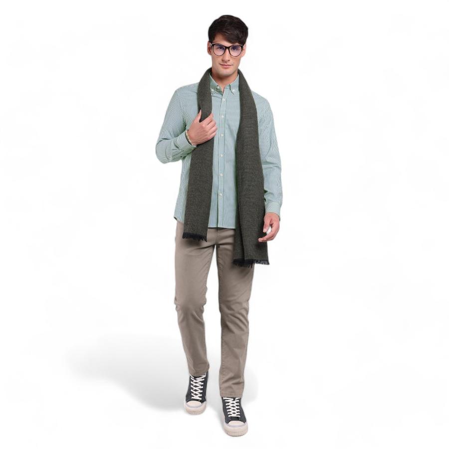 Camisa Rayas Hombre Arrow Verde