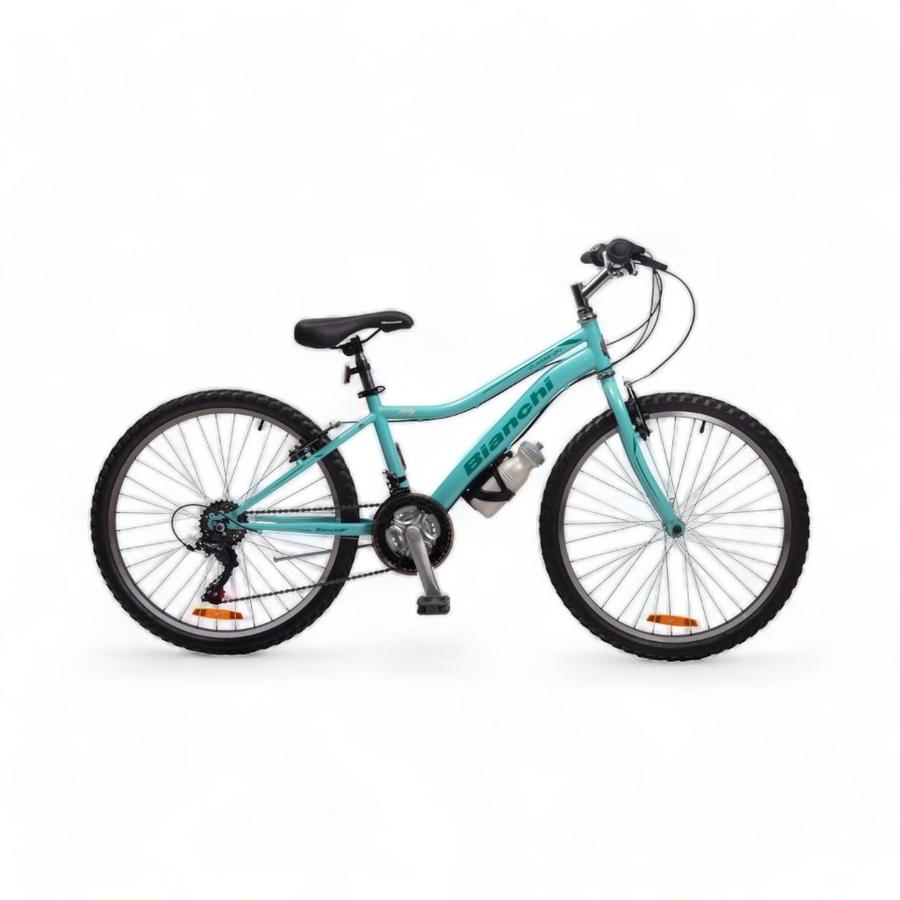 Bicicleta Bianchi Classic Lady Aro 24 Verde