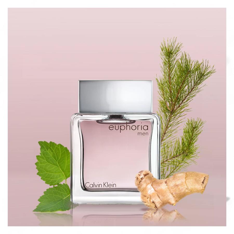 Euphoria de calvin klein hombre discount