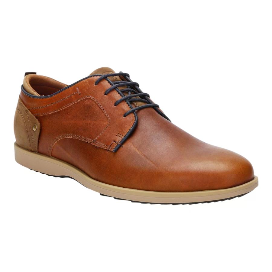 Zapatos Hombre Denver Cardinale Café
