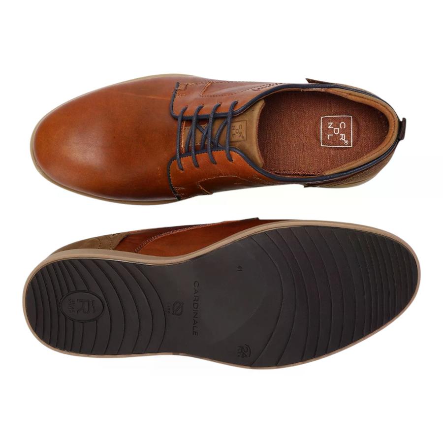 Zapatos Hombre Denver Cardinale Café