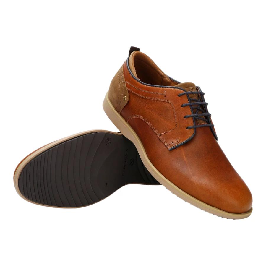 Zapatos Hombre Denver Cardinale Café