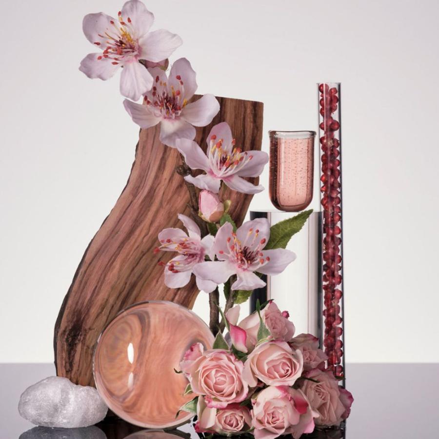 Perfume Carolina Herra212 Vip Rose Edp 80Ml