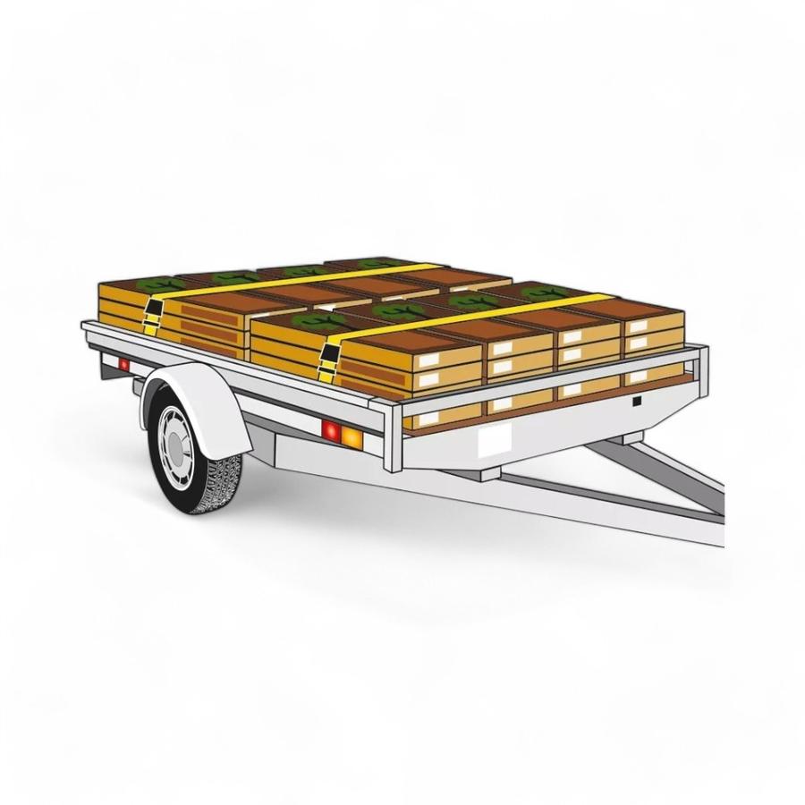 Cinte De Amarre Einhell 25Mm x 5 Metros 500 Kg