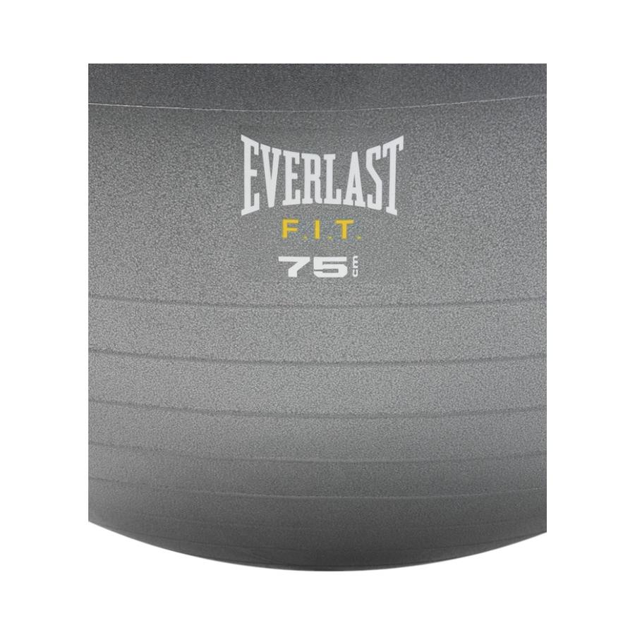 Balón Pilates Everlast Pro Stability 75 cm Gris