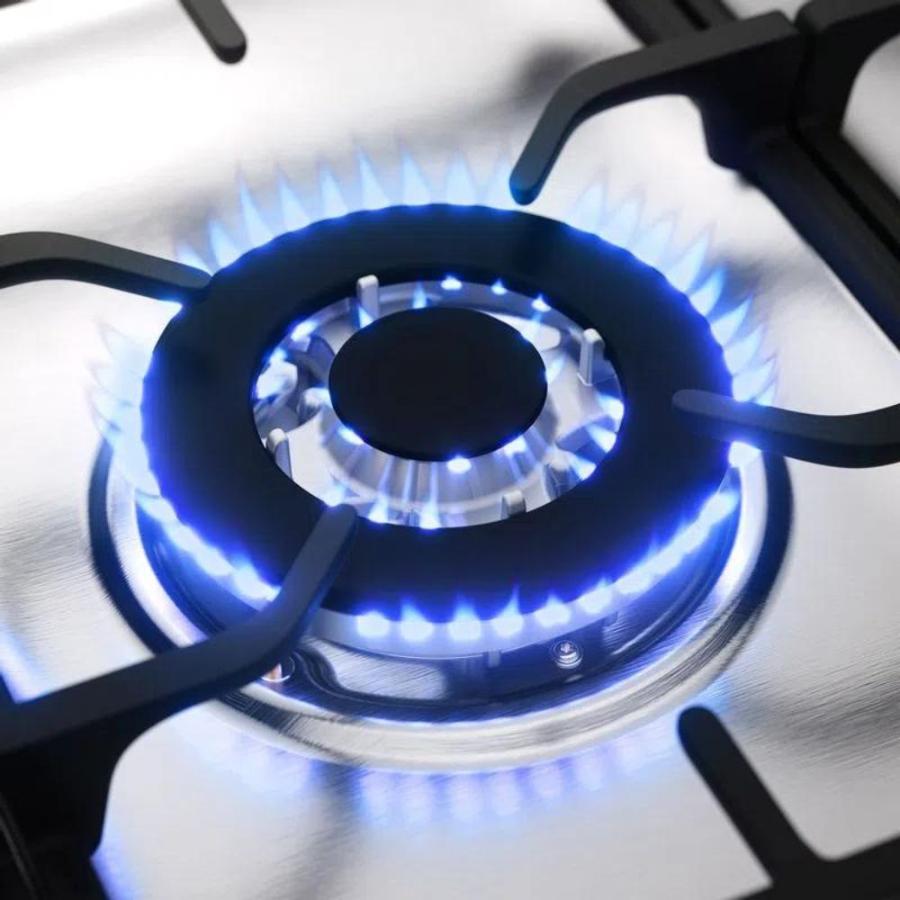 Cocina A Gas Fensa 5 Platos F5500t