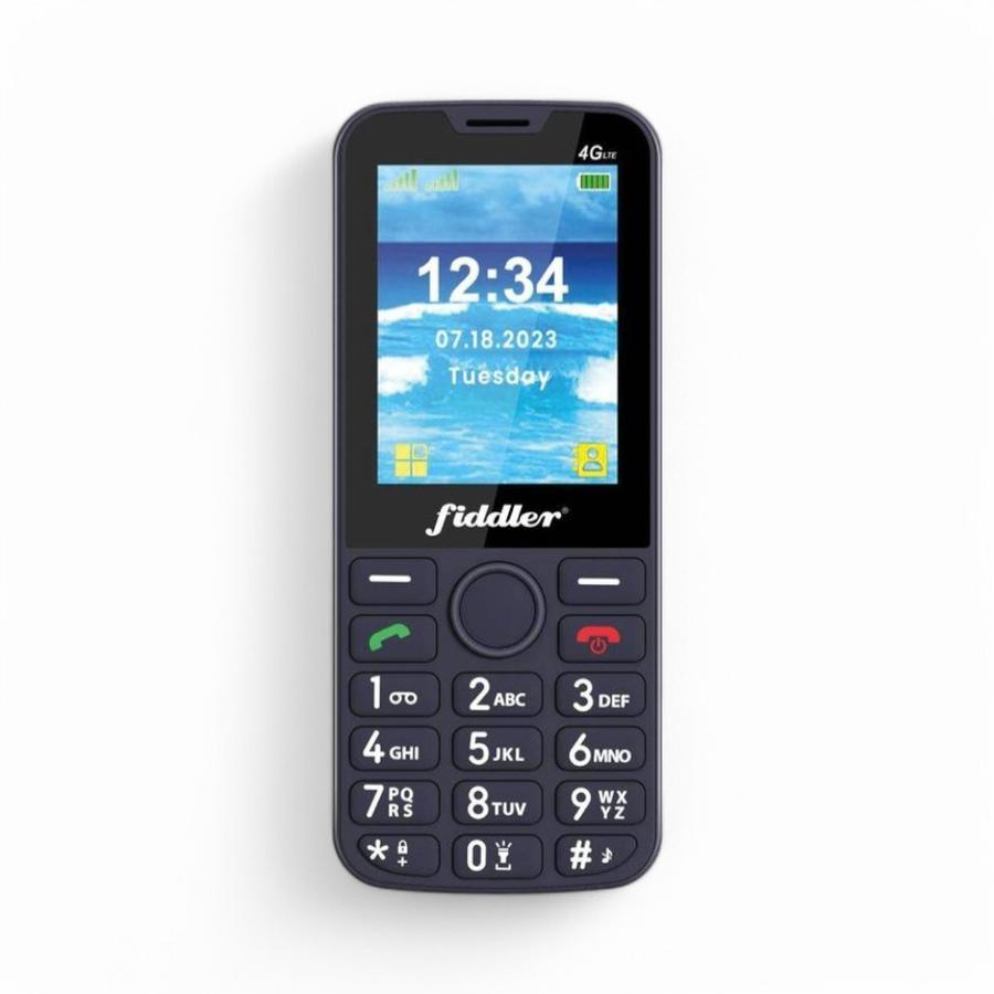 Teléfono Celular Senior Fiddler D117 4G Negro