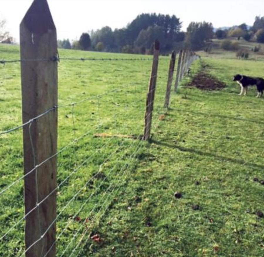 Malla Ursus 949 1,25 X 100 M