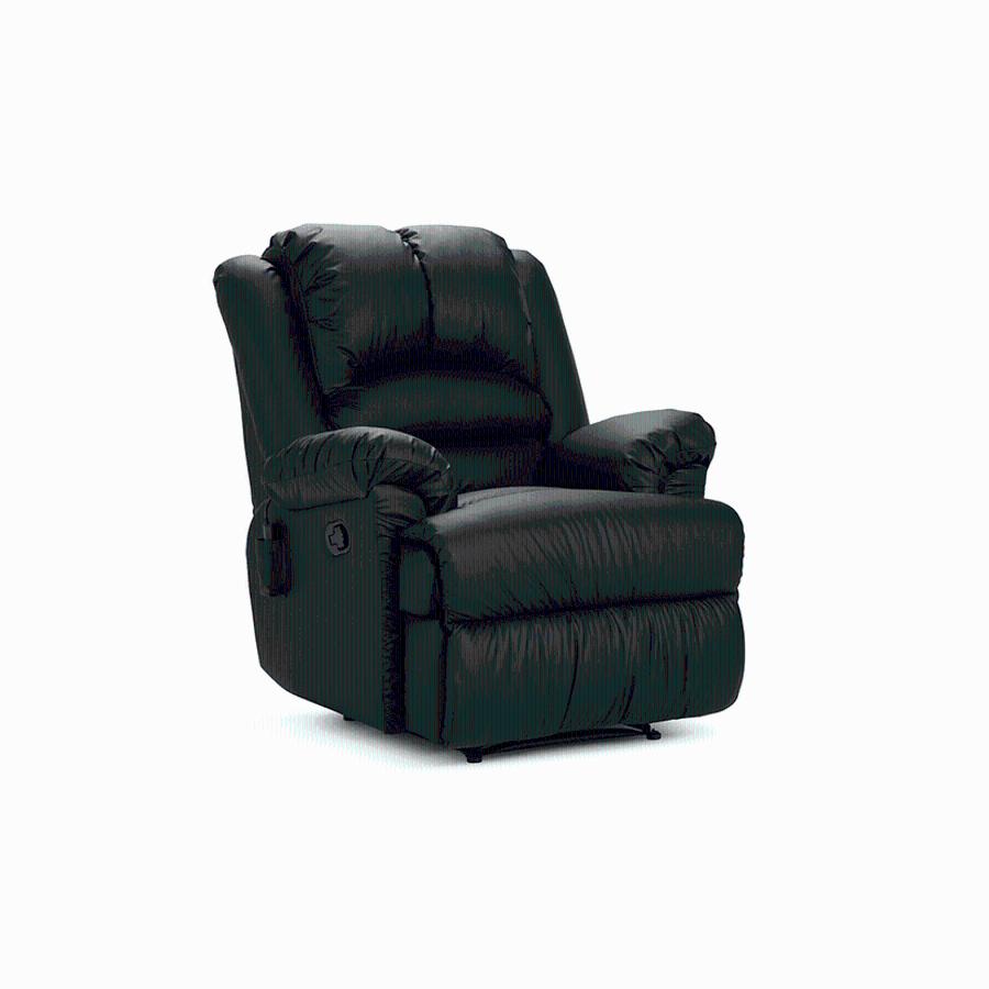 Bergere Rosen Jarrie Negro