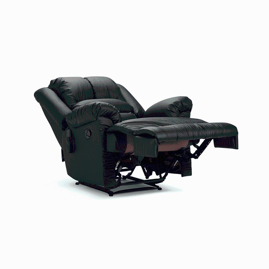 Bergere Rosen Jarrie Negro