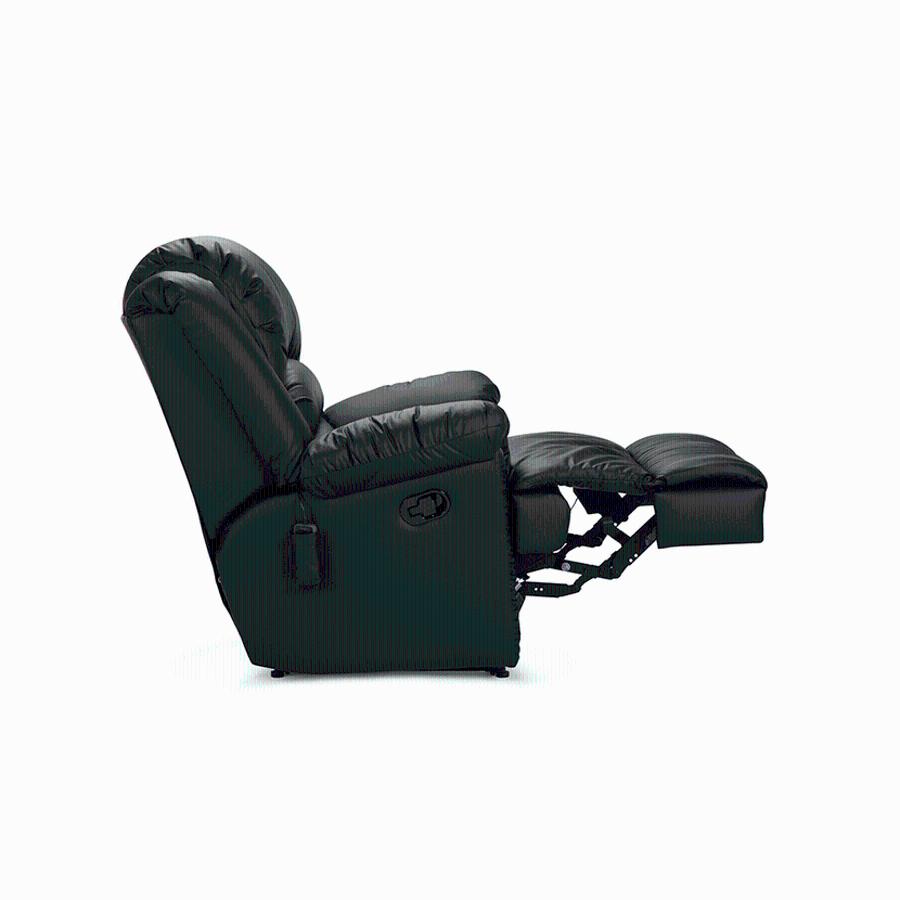 Bergere Rosen Jarrie Negro