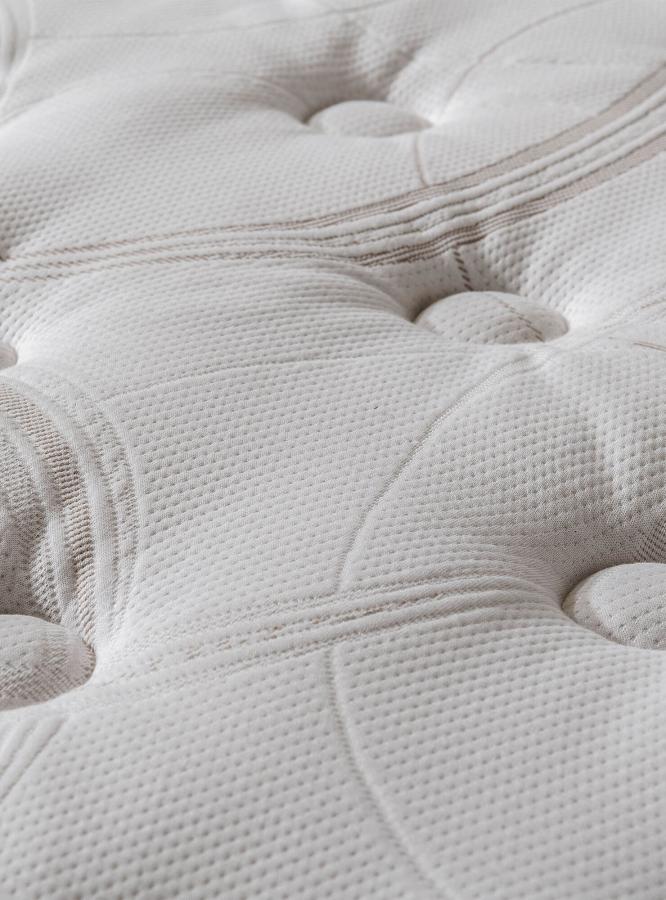 Cama Rosen New Style 6 1.50 X 2.00 Base Dividida + Respaldo Issey