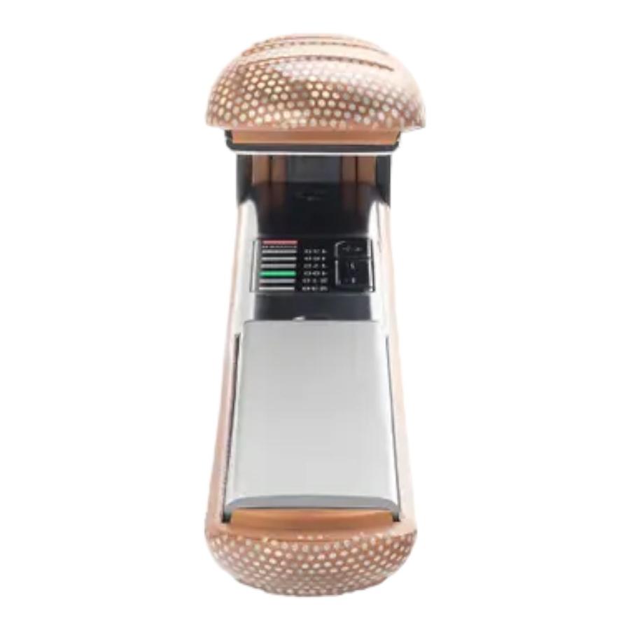 Alisador De Pelo Siegen Glamour For You Bronce
