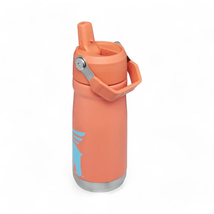 Botella Térmica Para Niños Stanley 500 Ml Coral