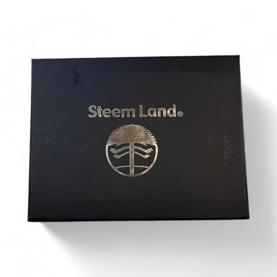 Billetera Hombre Steem Land Ugo Azul