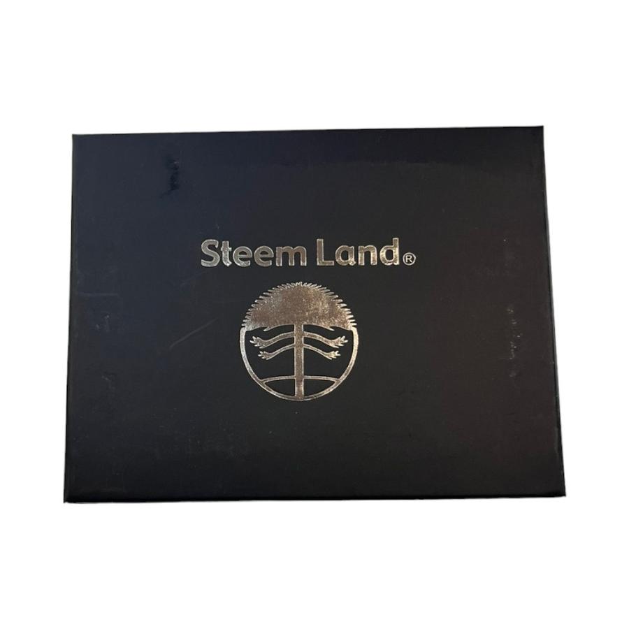 Billetera Hombre Steem Land Ugo Café