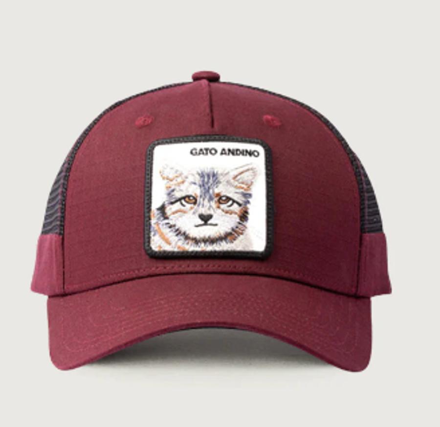 Jockey Gato Andino Ripstop Wild Lama Burdeo