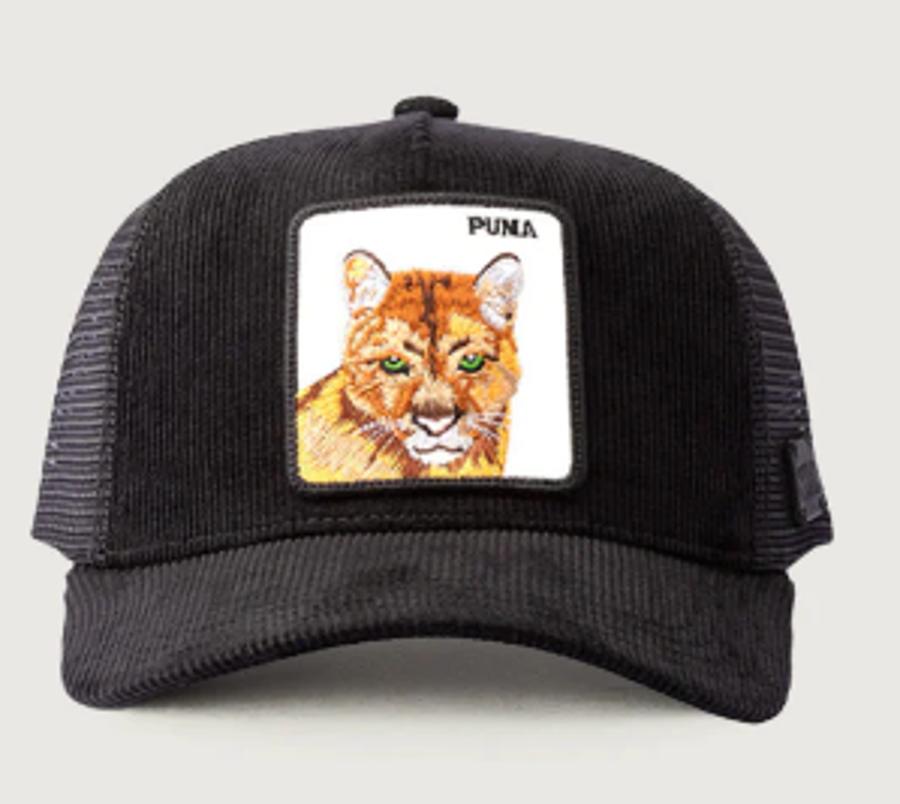 Jockey Puma Cotele Wild Lama Negro